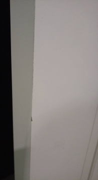 Дверь Scandi 3V, белый RAL 9003 №1282